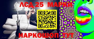 индика Можга