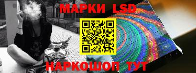 индика Можга