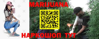 индика Можга