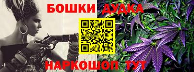 индика Можга
