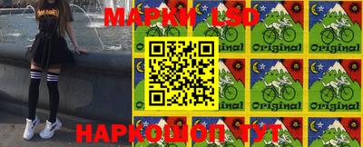 индика Можга
