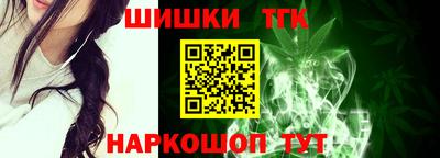 индика Можга