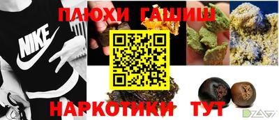 индика Можга