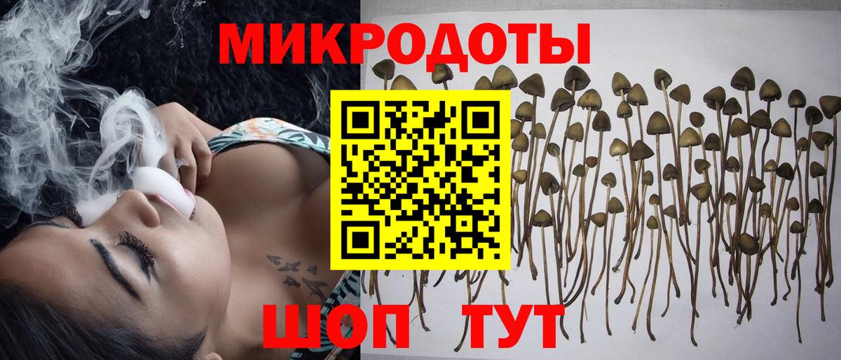 Галлюциногенные грибы GOLDEN TEACHER Зеленогорск