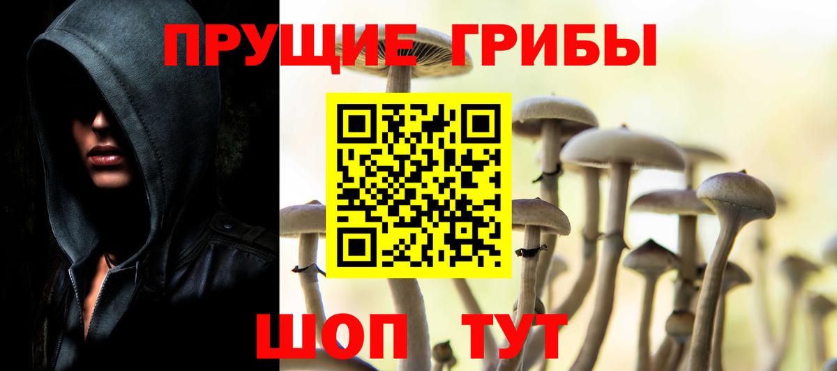 наркошоп  Галлюциногенные грибы Cubensis  Псилоцибиновые грибы Psilocybine cubensis  Вход с VPN  Зеленогорск 