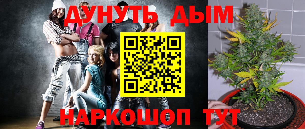 Конопля планчик  Вход с VPN  МАРИХУАНА тримм  Шишки марихуана планчик  Зеленогорск 